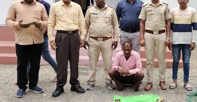 तेंदुए की खाल के साथ तस्कर गिरफ्तार वन विभाग की बड़ी कार्रवाई