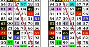 बेख़ौफ़ चल रहा सट्टा कारोबार वीडियों हुआ वायरल