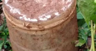 धमतरी, नगरी, चंदन बहारा मार्ग, नक्सलवाद, आईईडी बरामदगी, नक्सली साजिश, डीआरजी, बीडीएस, पुलिस अभियान, एरिया डॉमिनेशन, बम निरोधक दस्ते, छत्तीसगढ़ पुलिस, नक्सल विरोधी अभियान, सुरक्षा बल, एसपी सूरज सिंह परिहार, छत्तीसगढ़ समाचार, धमतरी पुलिस, नक्सल ऑपरेशन, आईईडी निष्क्रिय, नक्सली गतिविधि, जंगल सर्चिंग ऑपरेशन