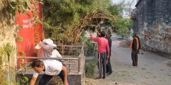 जहाँ आस्था है, वहाँ स्वच्छता भी अनिवार्य है। जन सहयोग द्वारा जिनालय परिसर में सेवा कार्य